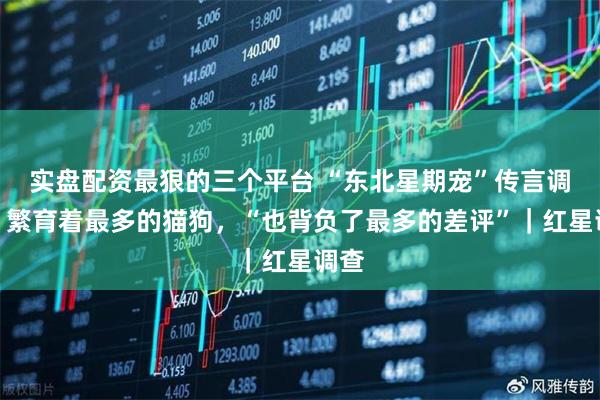 实盘配资最狠的三个平台 “东北星期宠”传言调查：繁育着最多的猫狗，“也背负了最多的差评”｜红星调查